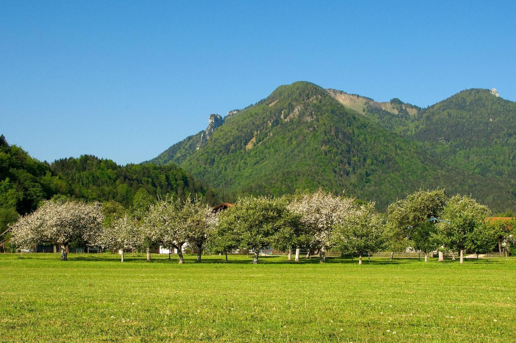 Gaestehaus Weissenbacher-Ferienwohnungen マルクヴァルトシュタイン エクステリア 写真